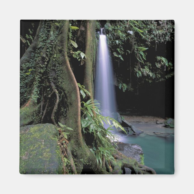 Imán Dominica, Estanque Esmeralda, Cascada. (Frente)
