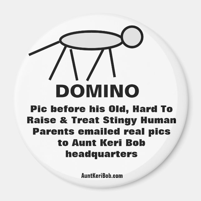 Imán Domino (Frente)