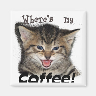 Imán Donde está mi gato del café