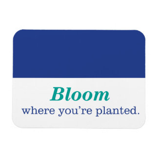 Imán Donde te plantan
