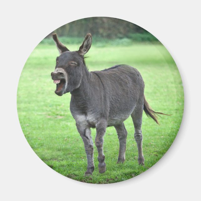 Imán Donkey Laugh Magnet (Frente)