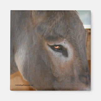 Imán Donkey Thoughts Farm Animal Nature Magnet