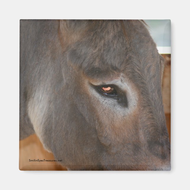 Imán Donkey Thoughts Farm Animal Nature Magnet (Frente)