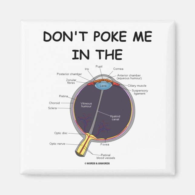 Imán Dont Ke Me In The Eye Eye Anatomy Attitude  (Frente)