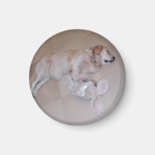 Imán Dormido durmiente