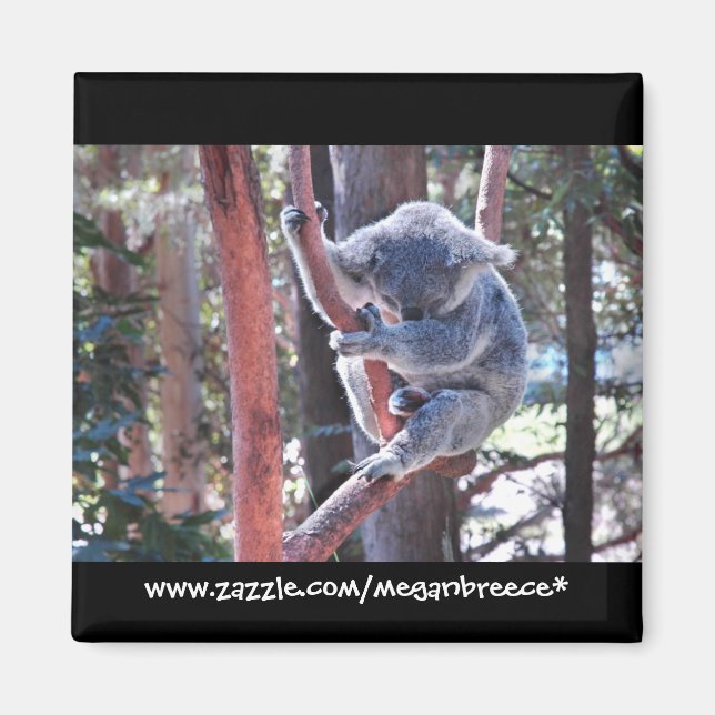 Imán Dormir Koala (Frente)