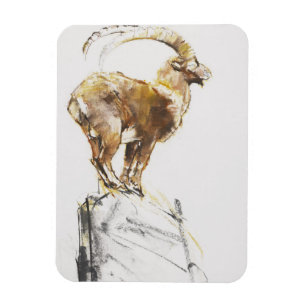 Imán d'Oro 2005 de Stambecco