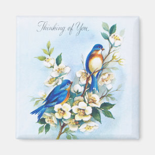 Imán Dos Bluebirds