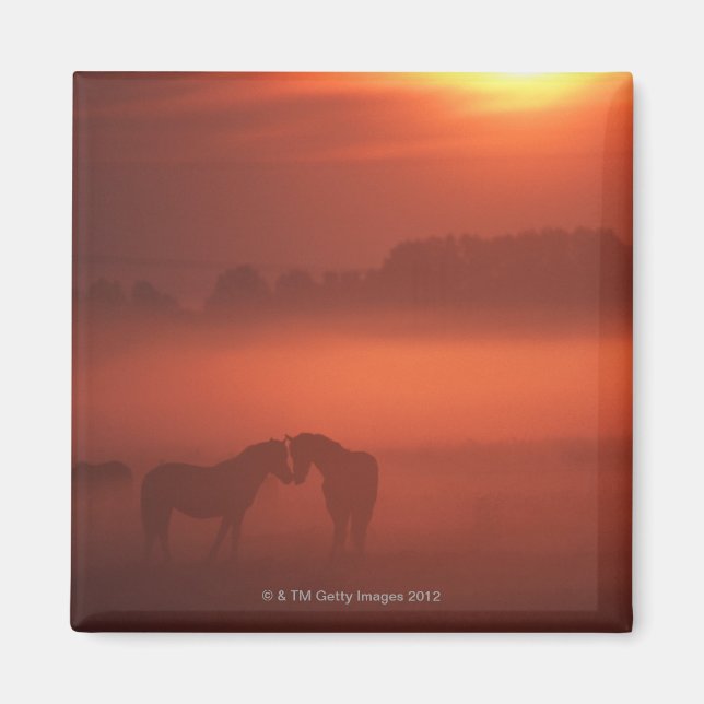 Imán Dos caballos al atardecer (Frente)