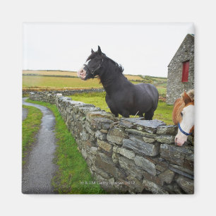 Imán Dos caballos en granja en Inglaterra rural