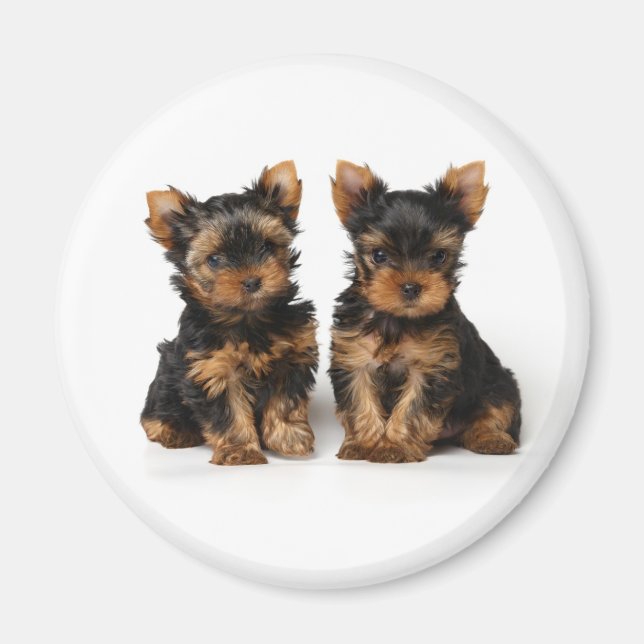 Imán Dos cachorros (Frente)