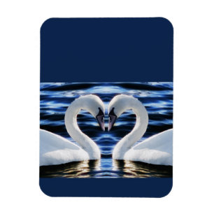 Imán Dos cisnes
