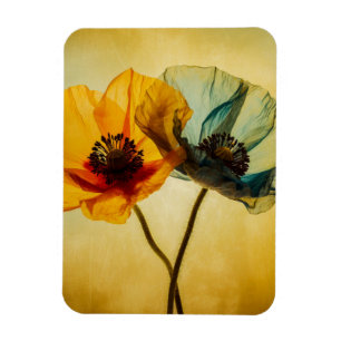 Imán Dos flores