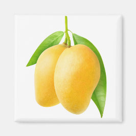 Imán Dos frutos amarillos de mango