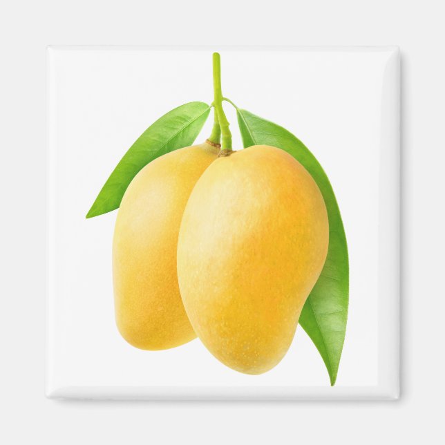 Imán Dos frutos amarillos de mango (Frente)