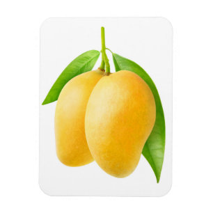 Imán Dos frutos amarillos de mango