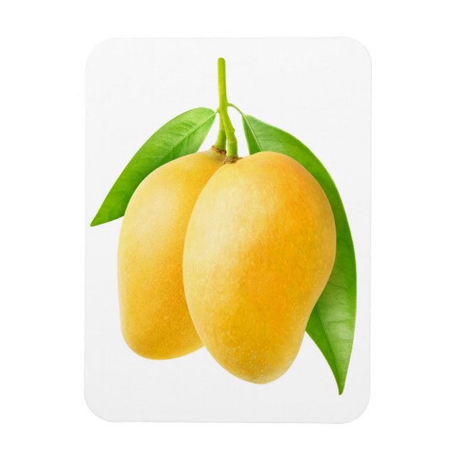 Imán Dos frutos amarillos de mango (Vertical)