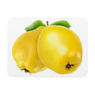 Imán Dos frutos de membrillo