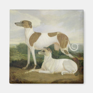Imán Dos galgos en un paisaje (aceite en lona)
