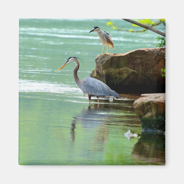 Imán Dos garzas a orillas del río (Frente)