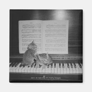 Imán Dos gatitos que se sientan en el teclado de piano