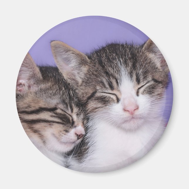 Imán Dos gatitos rallados (Frente)