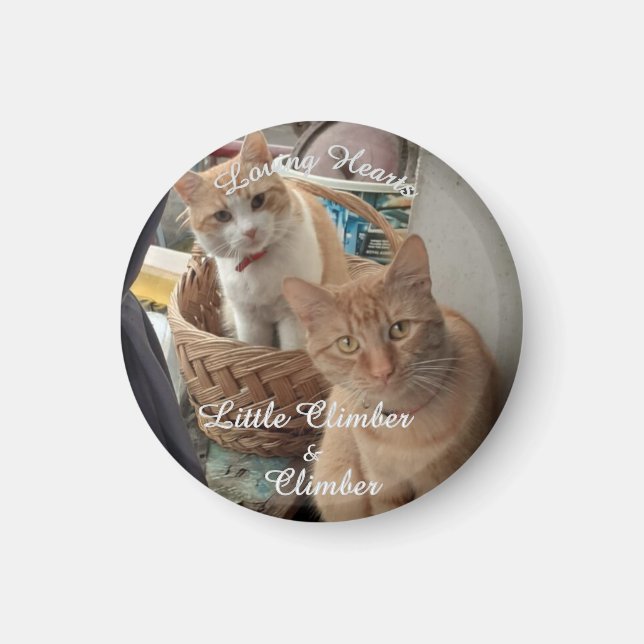 Imán Dos Gatos, Fotografía Y Nombres Sustituibles, (Frente)