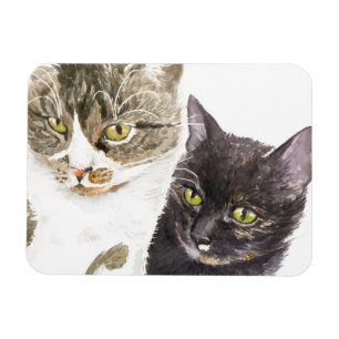 Imán Dos gatos - tabby y tortie