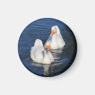 Imán Dos Geese Emden II