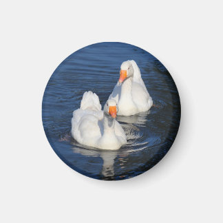 Imán Dos Geese Emden II