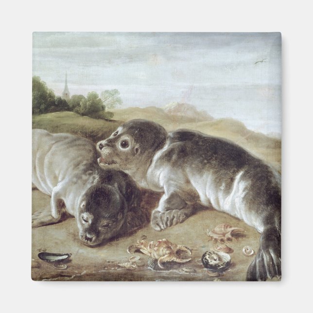 Imán Dos jóvenes focas en la costa, c.1650 (Frente)