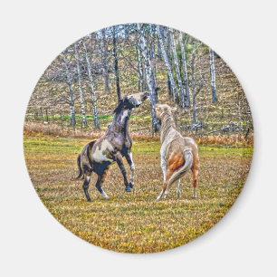 Imán Dos juguetones Pinto Paint Horses Equine Art Desig