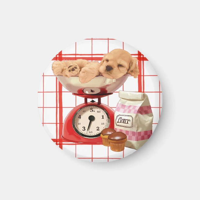 Imán Dos libras esterlinas (Frente)