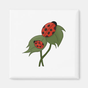 Imán Dos lindos ladybugs en una planta