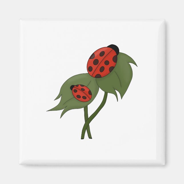 Imán Dos lindos ladybugs en una planta (Frente)