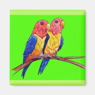 Imán Dos loros en una percha
