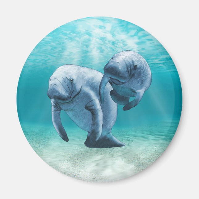 Imán Dos Manatíes Nadando (Frente)