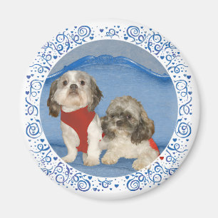 Imán Dos Pequeños Perros Rescatados Shih Tzu