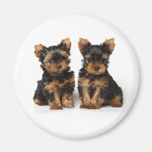 Imán Dos perritos