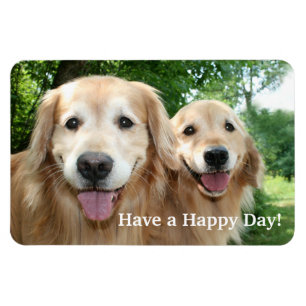 Imán Dos perros felices del golden retriever afuera