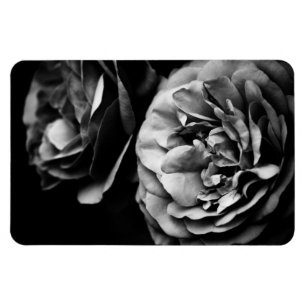 Imán dos rosas