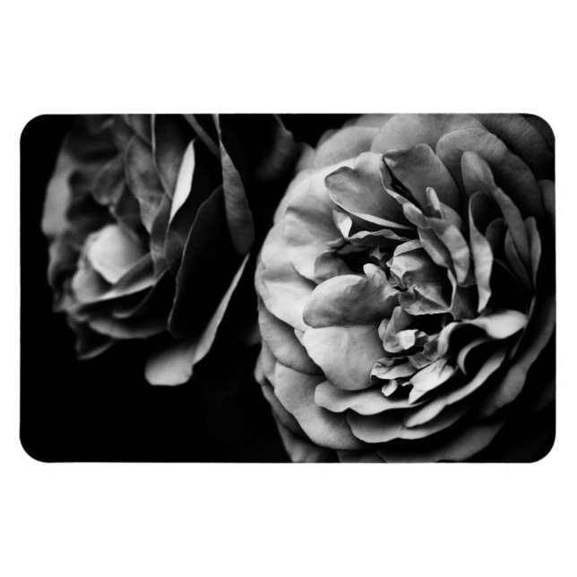 Imán dos rosas (Horizontal)