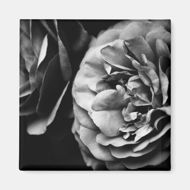 Imán dos rosas (Frente)