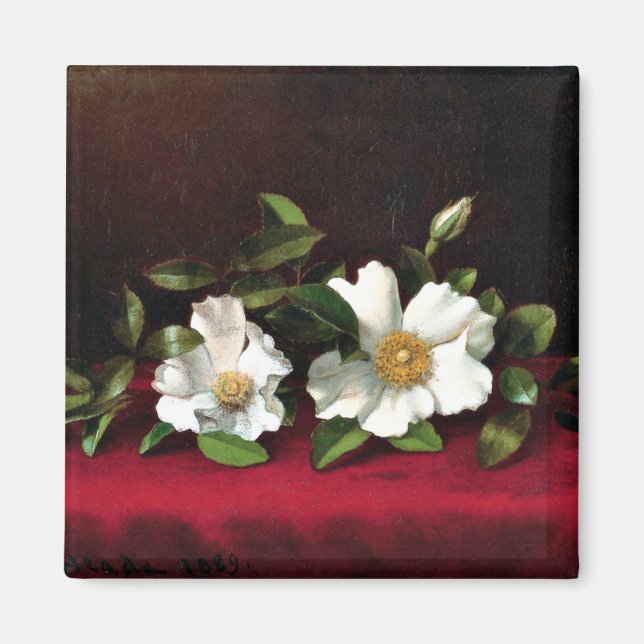 Imán Dos Rosas Cherokee sobre Terciopelo Rojo, (Frente)