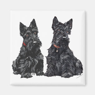 Imán Dos Terriers Escoceses Negros