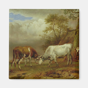 Imán Dos toros con cuernos cerrados, 1653