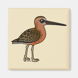 Imán Dowitcher longirrostro de Birdorable