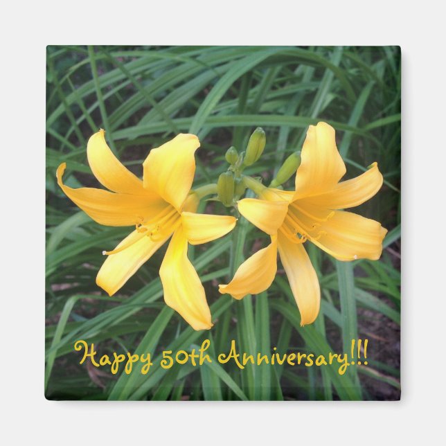 Imán Downey Gold Duo DIARIO — (Frente)