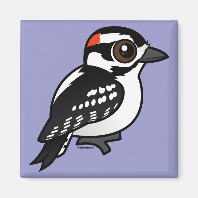 Imán Downy Woodpecker (Frente)