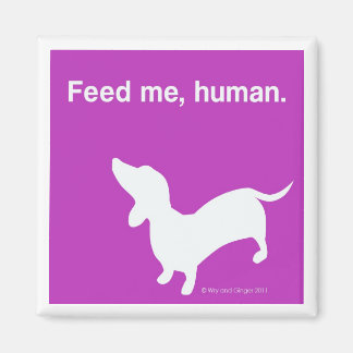 Imán Doxie Feed Me Magnet rosa